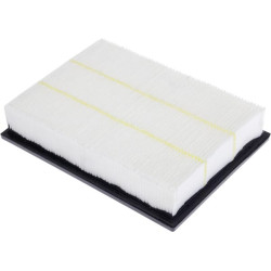 Salono oro filtras 5189395