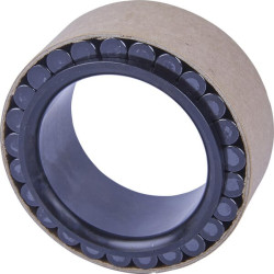 Adatinis ritininis guolis 0750118324