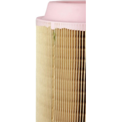 Pirminis oro filtras 6297662