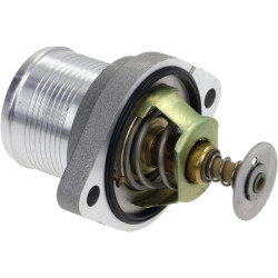 Termostatas 6141299