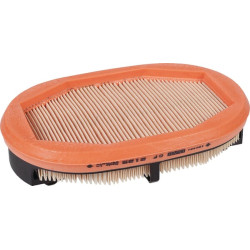 Antrinio oro filtro elementas CF2125