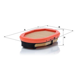 Antrinio oro filtro elementas CF2125