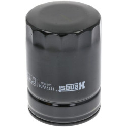 Alyvos filtras H17W06