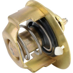 Termostatas Mitsubishi 30A4600700