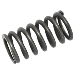 Vožtuvo spyruoklė 504100000