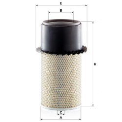 Oro filtro elementas C21431