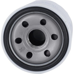 Alyvos filtras su užsukamu dangteliu Donaldson P502024