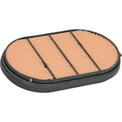 Oro filtro apsauga P601560