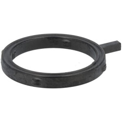 Sandariklis JC32004820