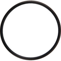 O formos žiedas 02200087