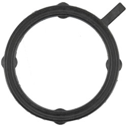 Sandariklis JC32004820