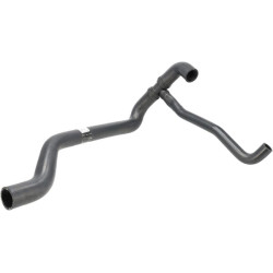 Žarnos apačia JC333G2796