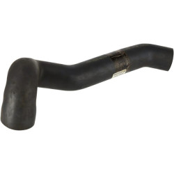 Žarnos apačia JC83410683