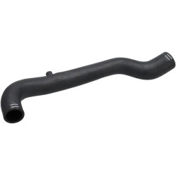 Žarnos viršus JC83411428