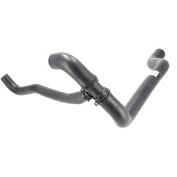 Žarnos apačia JC333G2796