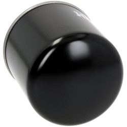 Alyvos filtras HG462W