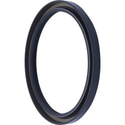 Sandariklis 218271A1