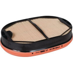 Antrinio oro filtro elementas CF2135