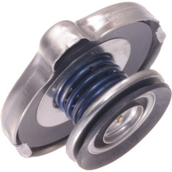 Radiatoriaus dangtelis JC16001980