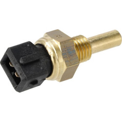 Vandens temperatūros jutiklis JC333H5810