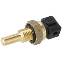 Vandens temperatūros jutiklis JC333H5810