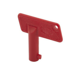 Jungiklio raktas 9SL706729011