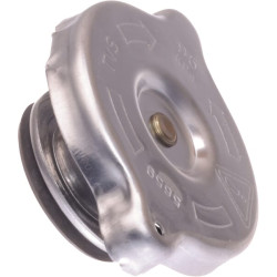 Radiatoriaus dangtelis JC16001980