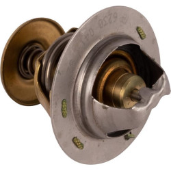 Termostatas 145206230
