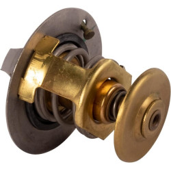 Termostatas 145206230