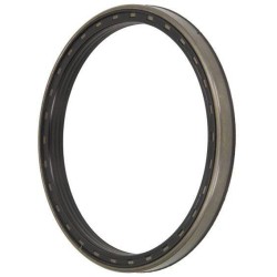 Case - IH Optum 300 CVX 01/19- 3696866M2N Sandarinimo kasetė-S2 165x190x15.5 75NBR