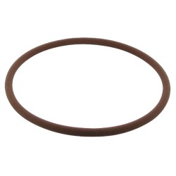 Case - IH 745S 3230854R1 O žiedas galinės ašies stabdys