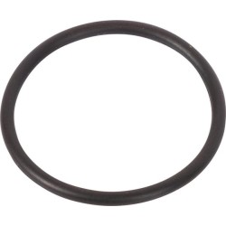 Case - IH Puma 170CVX 87473574N Sandarinimo žiedas