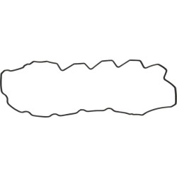 Case - IH Puma 200 CVX - 4B (9/17-) 9/17- 504070038 Svirties dangčio tarpiklis