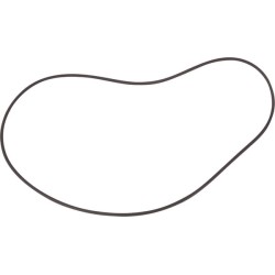 Case - IH 844 71452157 O žiedas