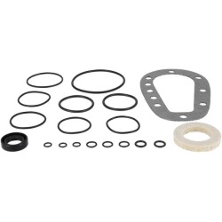 Case - IH QuadTrac 550 83936975 Remonto komplektas