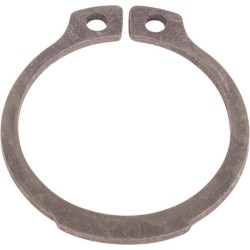 Case - IH Quantum 85F 11067276 CNH žiedas