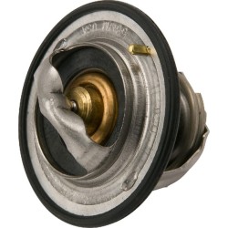 Case - IH Quantum 105F 504384724 Termostatas