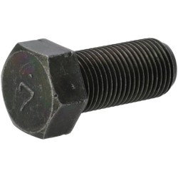 Case - IH Quantum 100F 9/17- 0117361635 Rato varžtas