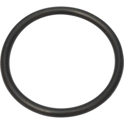 Case - IH Quantum 100N 9/17- 218774 Žiedas