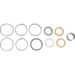 Case - IH 9180 1543274C1 komplektas, sandarikliai