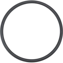 Case - IH Vestrum 100 06/19- 504387771 Termostato tarpiklis