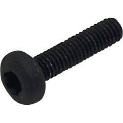 Case - IH Vestrum 110 01/21-84187823 varžtas