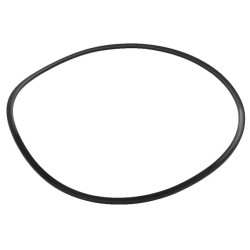 Case - IH 5130 189051A1 Sandarinimo žiedas