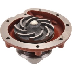 Case - IH 1055 / 1055XL 3132676R93KR vandens siurblys, tinka dėklui