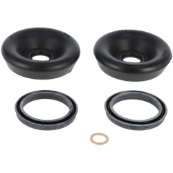 Case - IH 1255 / 1255XL 9898056 Rato cilindro remonto komplektas