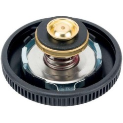 John Deere 2040 AL38374N Radiatoriaus dangtelis JD