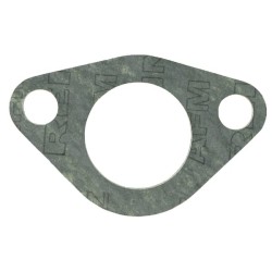 Case - IH 955 / 955XL 3055306R3 vandens kolektoriaus tarpiklis