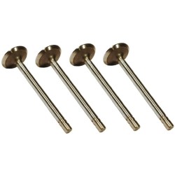 John Deere 1850 VPA1360 Išmetimo vožtuvas