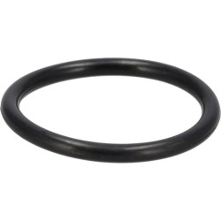 Case - IH 7250 9672549 Žiedas