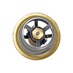 Case - IH 1086 AV100934 Termostatas